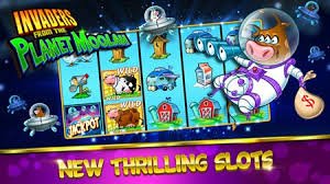 wj cassino bet wj cassino bet